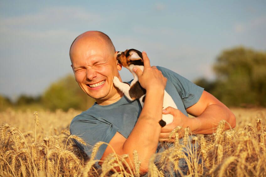 dog licking ears | Ultimate Pet Nutrition