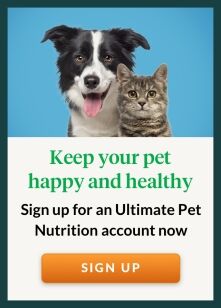 Sign Up for a UPN account now