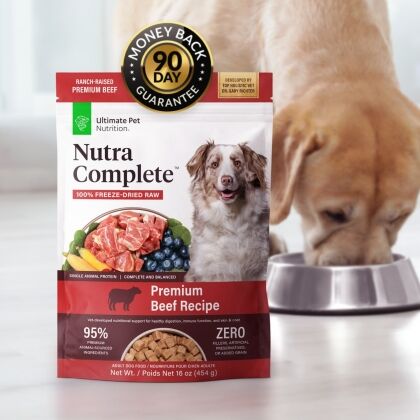 NCDBeef-16oz-90day-min Nutra Complete Product Image| ultimate pet nutrition