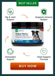 NutraThrive BestSeller ad