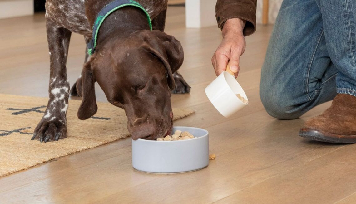 Ultimate Pet Nutrition logo