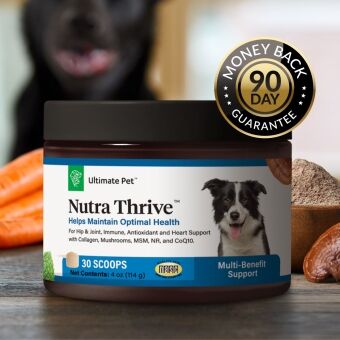 nutra thrive dog | ultimate pet nutrition